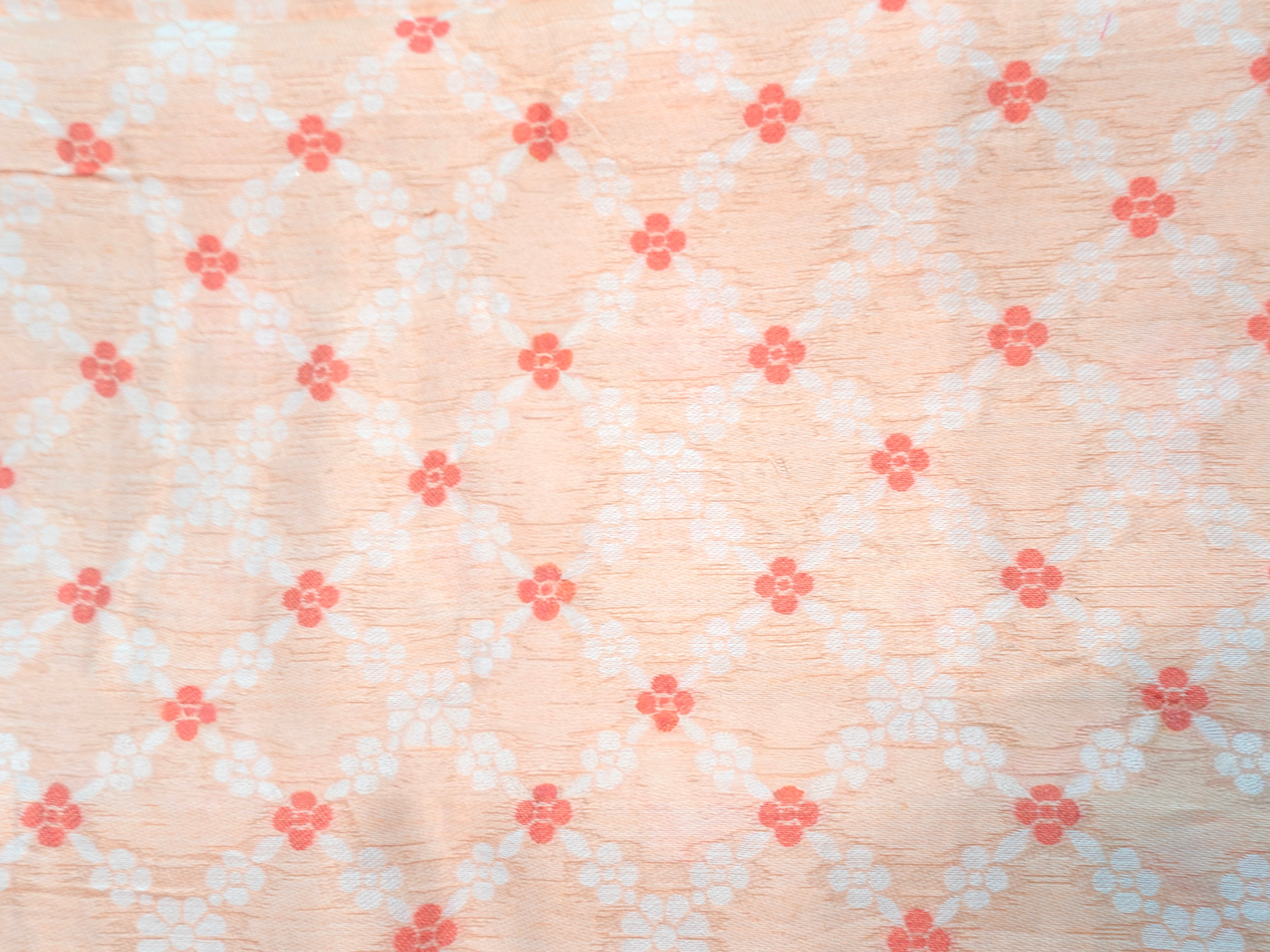 Orange Pochampally Cotton Saree