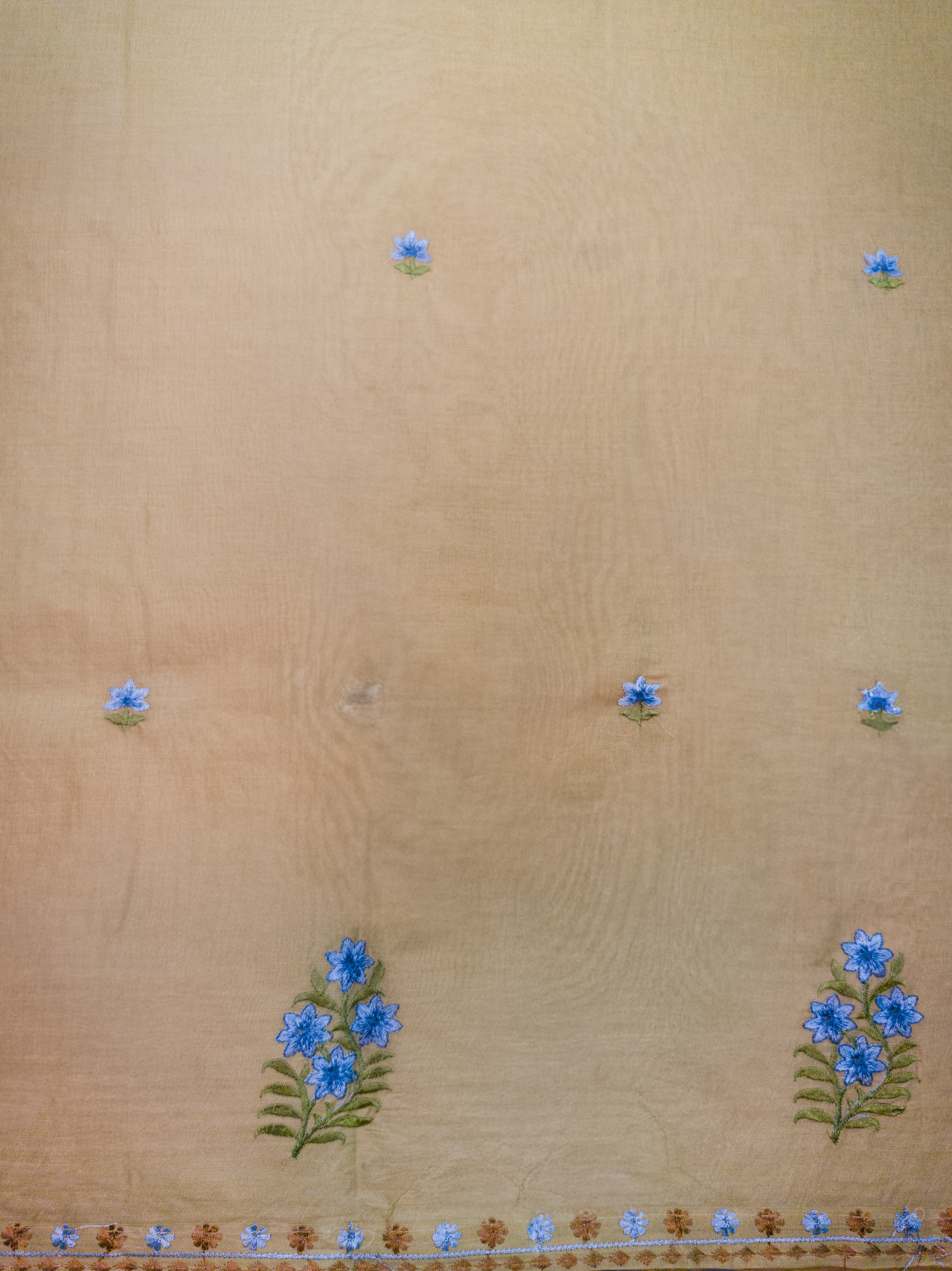 Greenish Hand-Embroidered Mul Cotton Saree