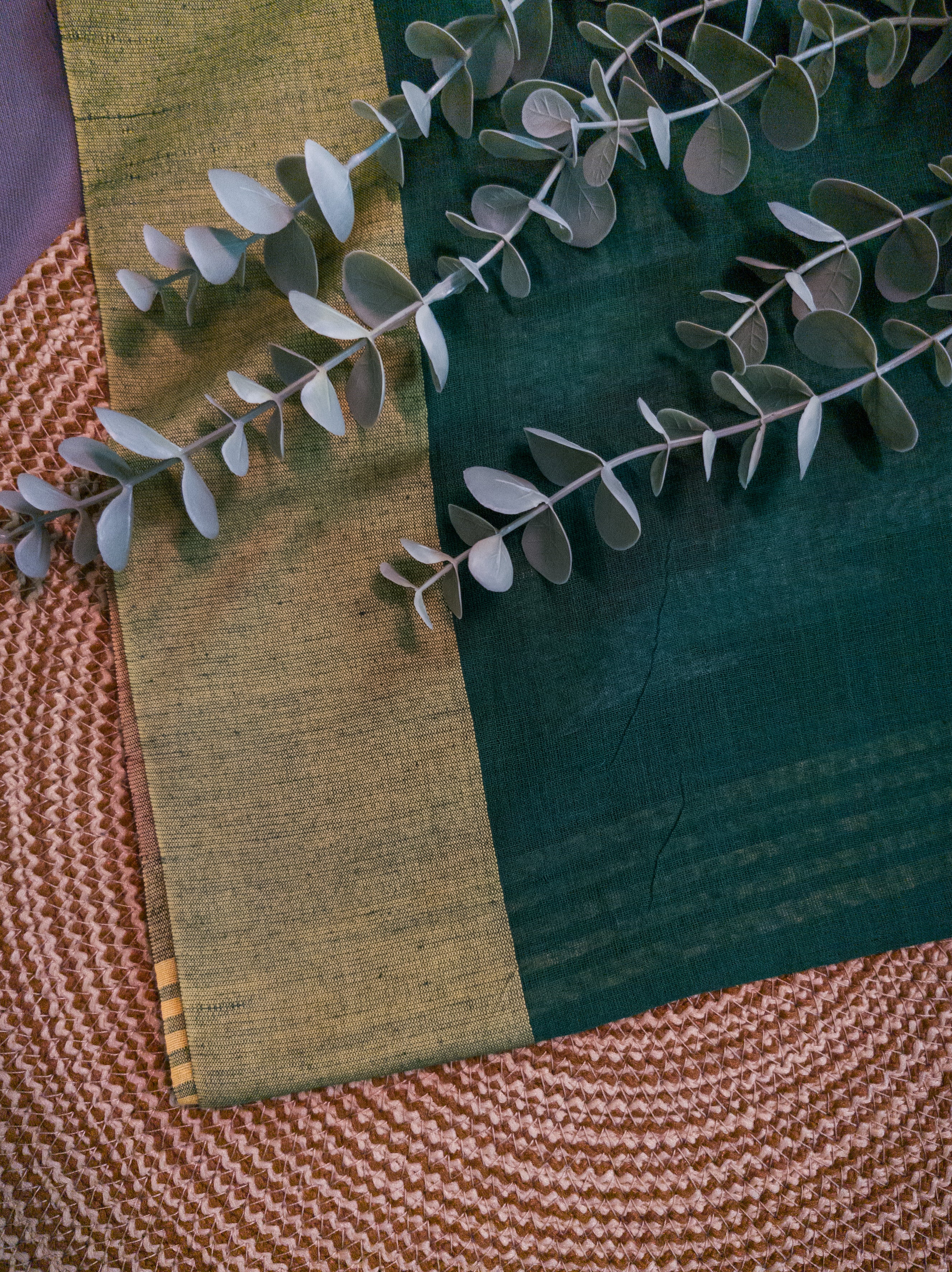 Off White Pochampally Patola Cotton Saree