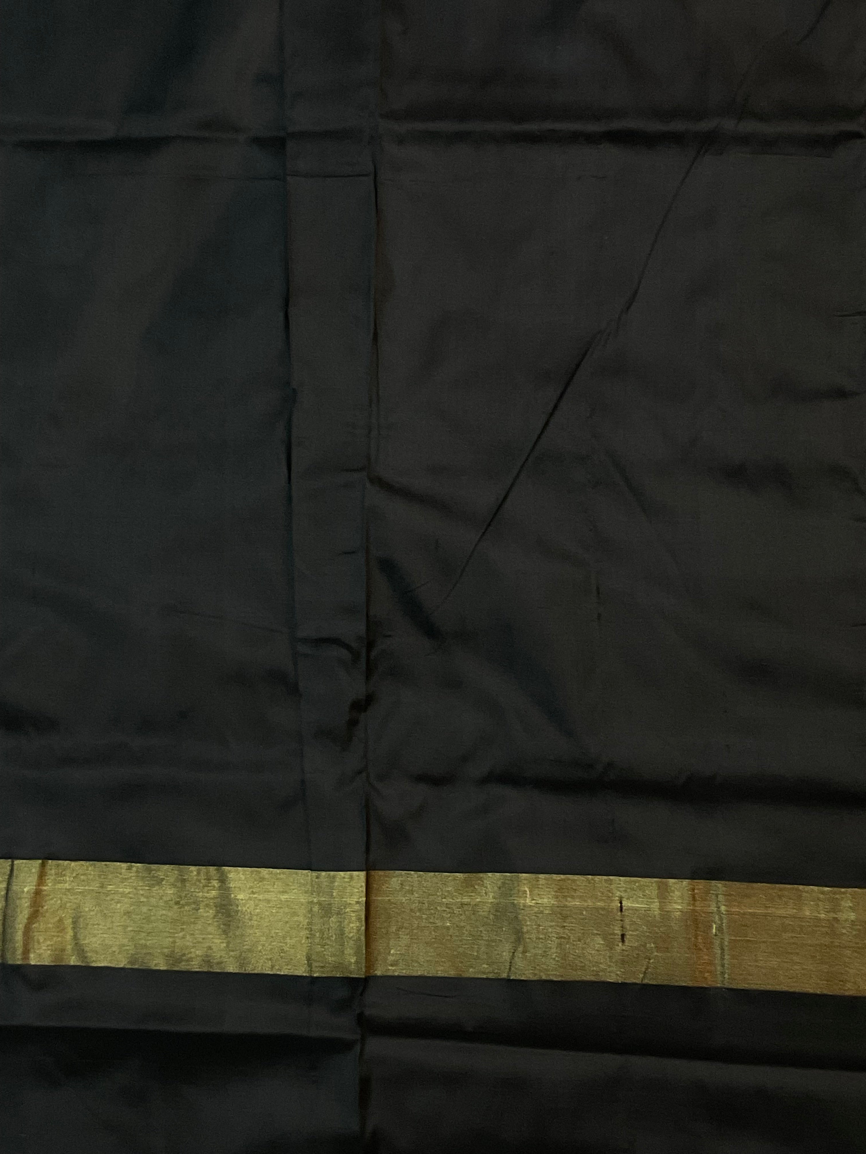 Red Pochampally Zari Silk Saree with Contrast Black Pallu & Plain Blouse