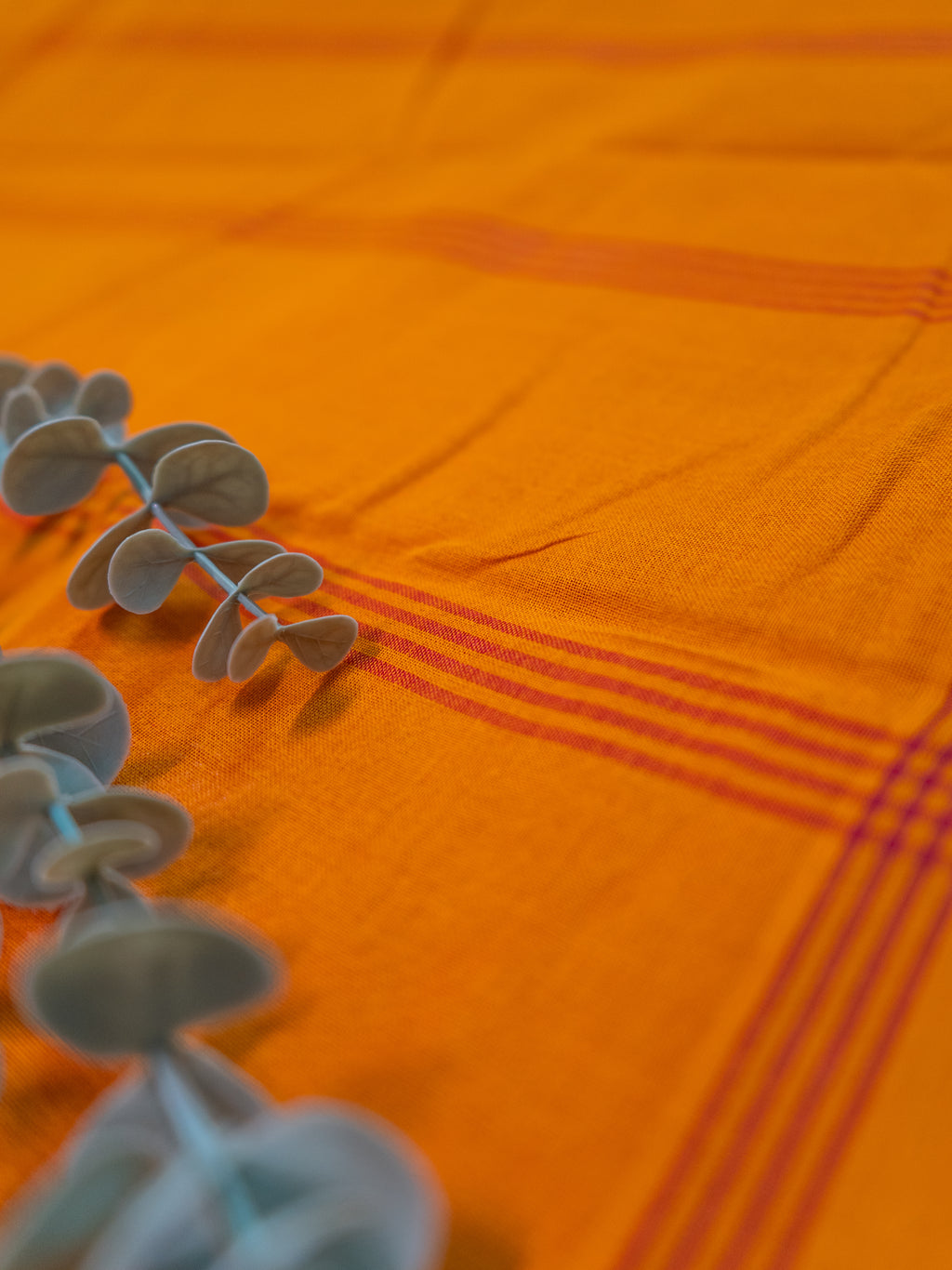 Red Pochampally Ikat Cotton Saree with Mustard Pallu