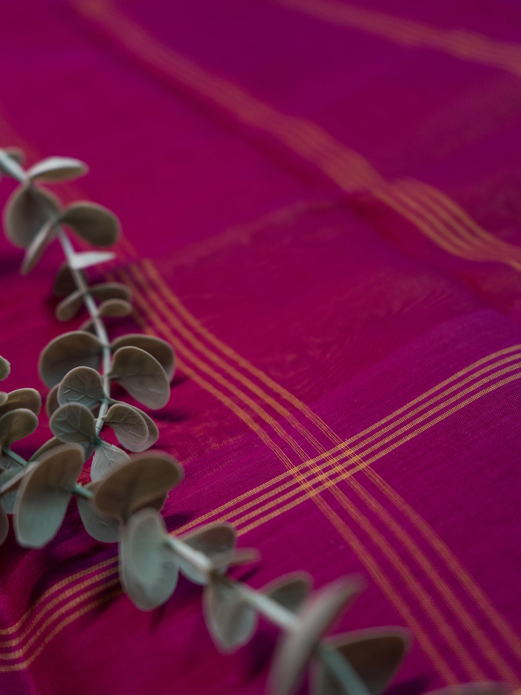 Deep Mustard Pochampally Ikat Cotton Saree with Magenta Border