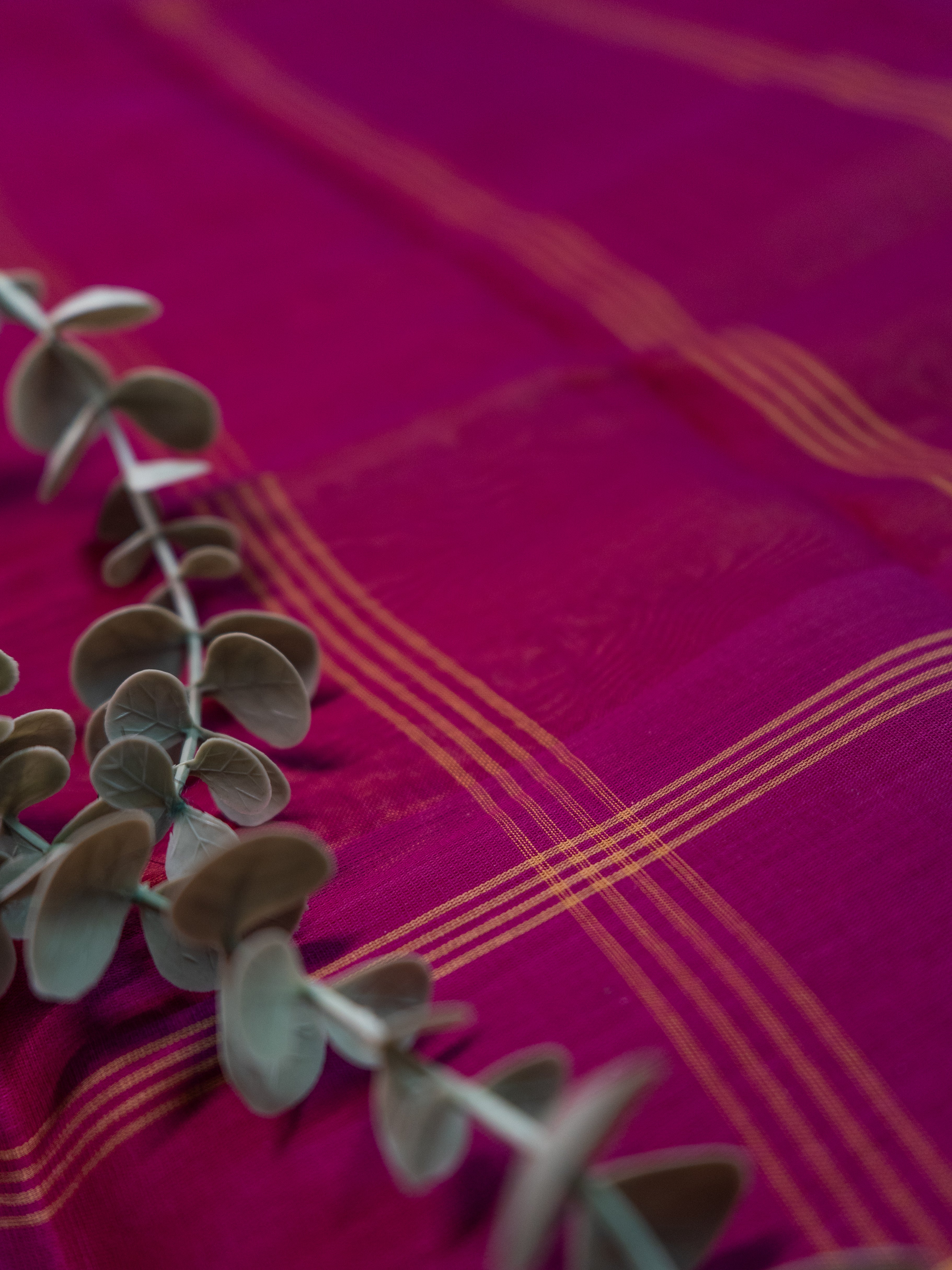Deep Mustard Pochampally Ikat Cotton Saree with Magenta Border