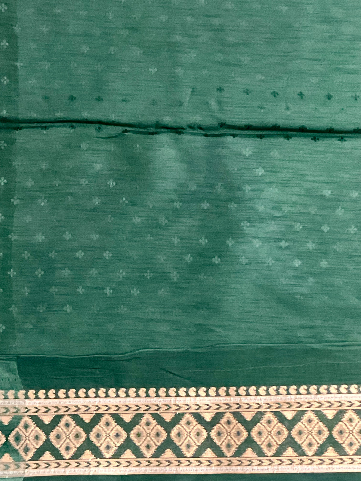Sea Green Banarasi Handloom Silk Saree with Ikat Border — Dark Green Contrast Pallu & Designer Blouse