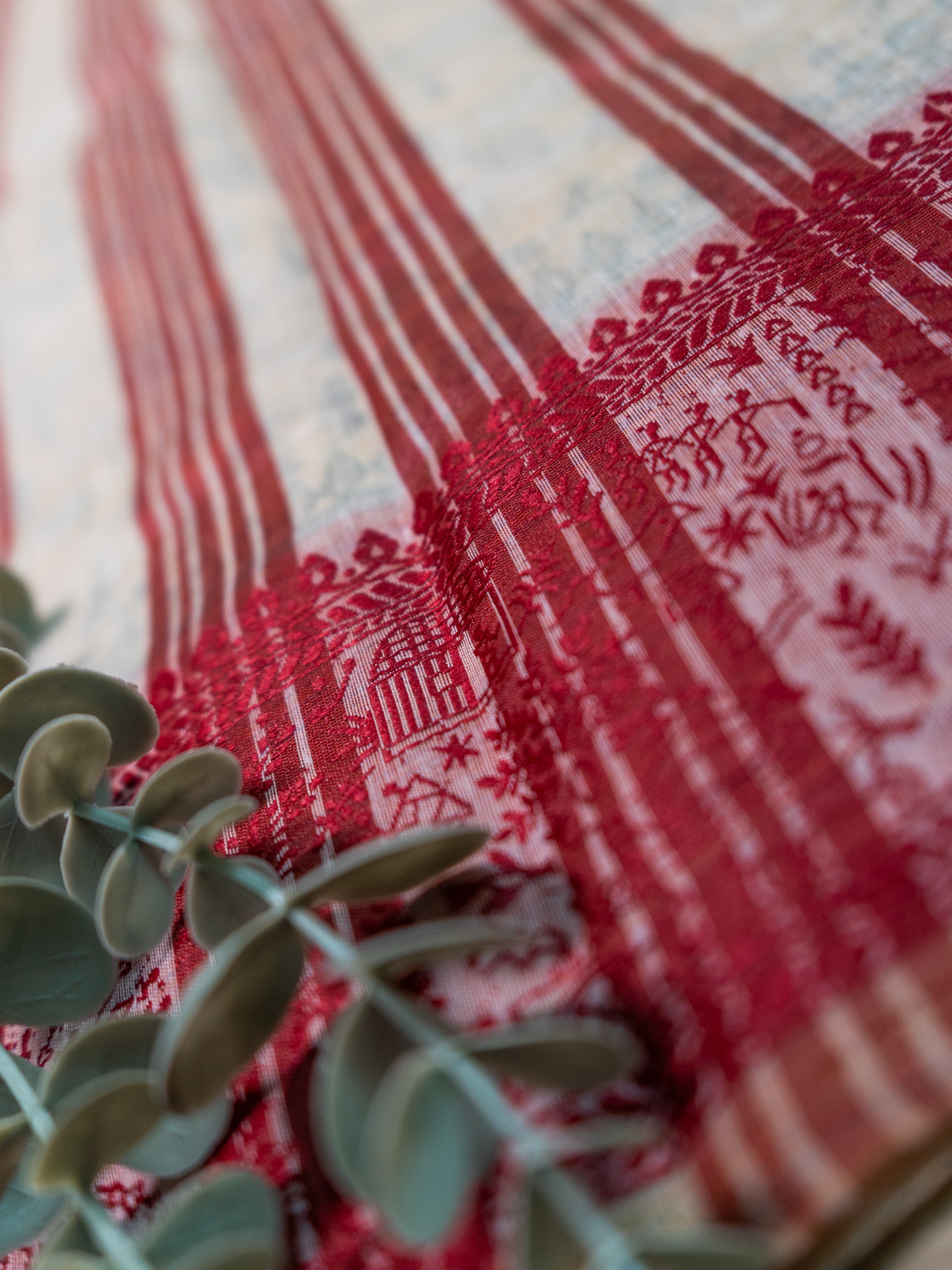 Kalamkari Vareli printed saree with red contrast border and lining red pallu and lining red blouse